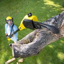 Best Lawn Mowing Services  in Brownsville, PA